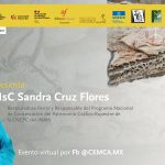Gestión y conservación integral del patrimonio gráfico-rupestre en México